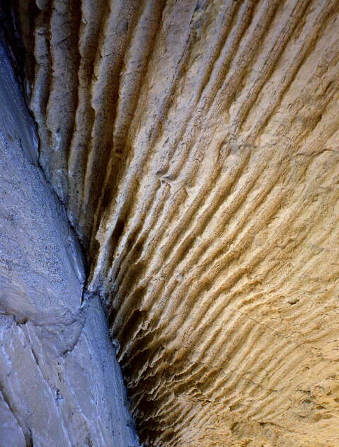 © 1980, California State Parks. Anza-Borrego Desert SP, 090-1406.