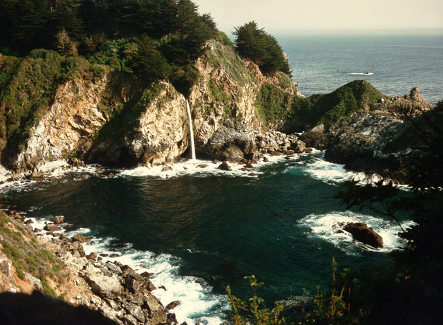 © 1984, California State Parks. Julia Pfeiffer Burns SP, 090-P38368.
