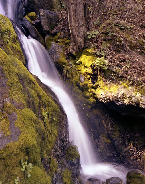 © 1984, California State Parks. Lake Oroville SRA, 090-P51877.