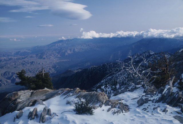 ©1983, California State Parks. Mount San Jacinto SP, 090-S12246.