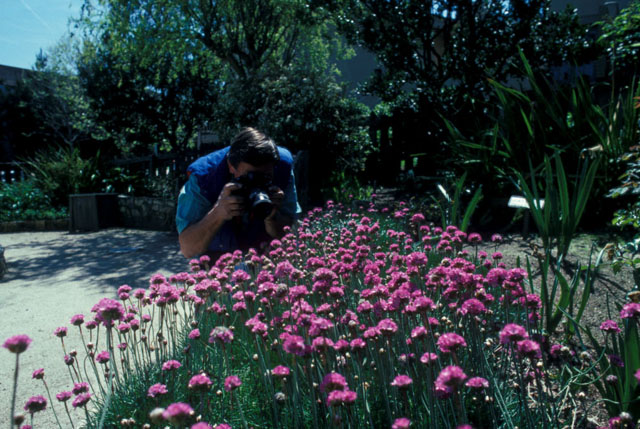 © 1991, California State Parks.  Catalog #:  090-S21214.  Monterey SHP.