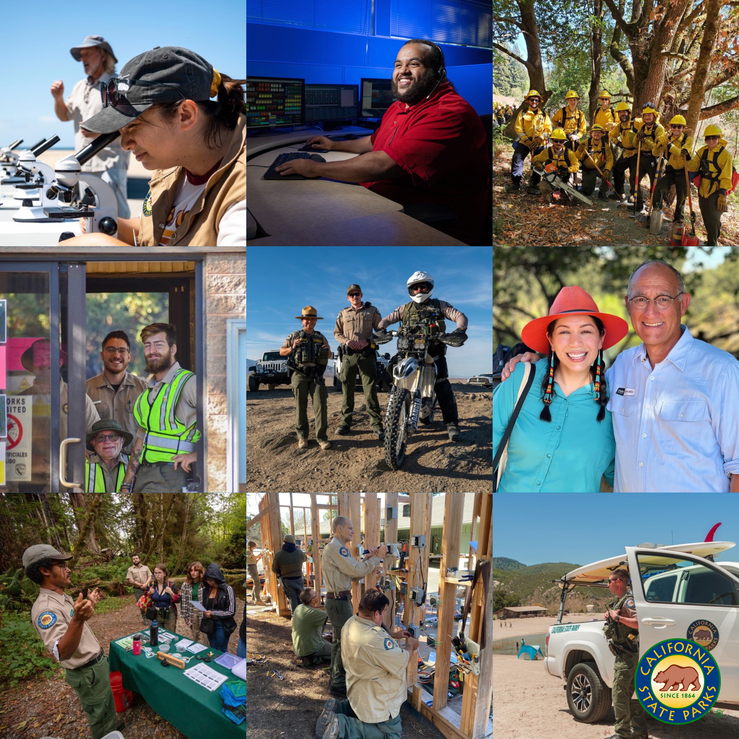 Career Options Banner