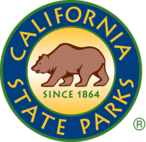 DPR Logo