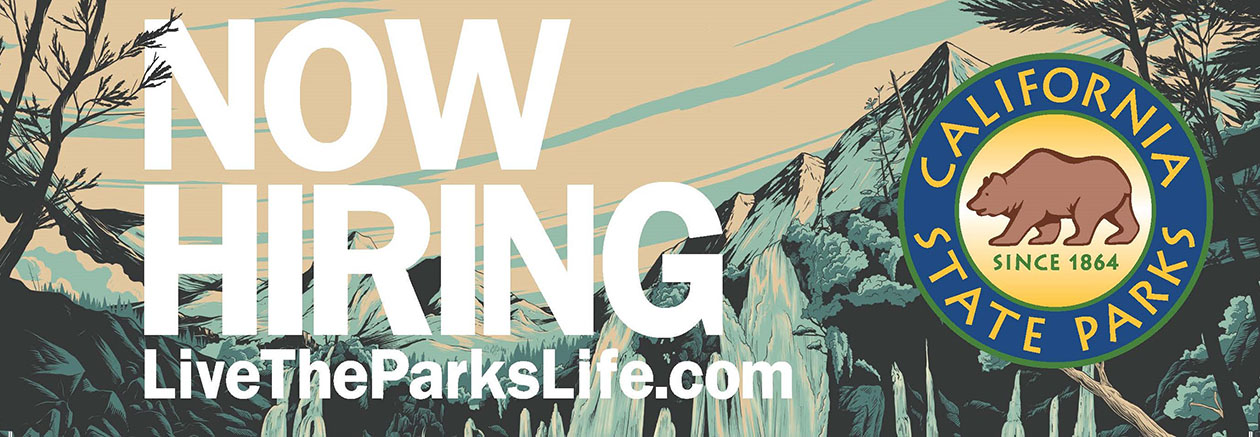 Now Hiring - Parks