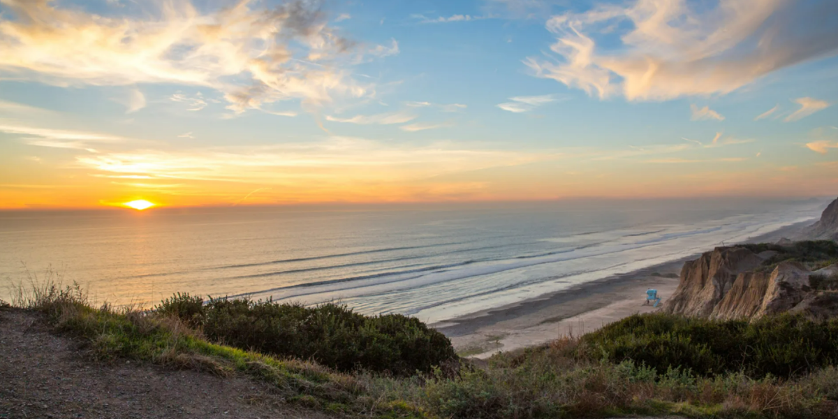 Ocean Banner
