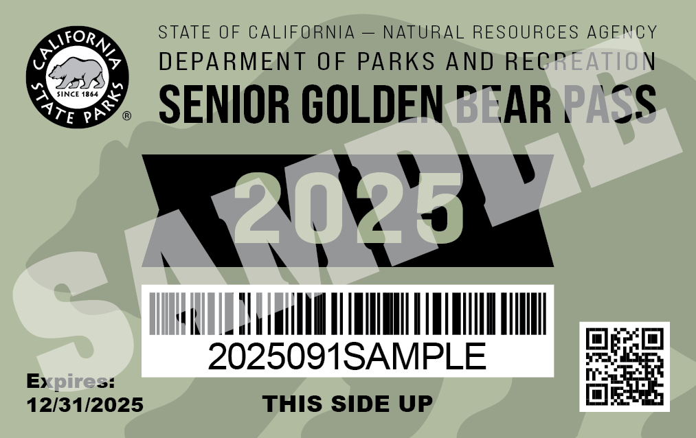 Sample image of Senior Golden Bear Pass