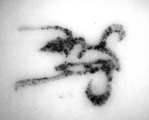 Image of Union Porcelain Works pottery mark