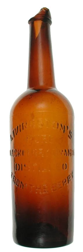 Livingston's Blackberry Brandy recovered from Old Sacramento SHP