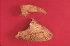 Artifacts from Sonoma Mission