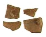 Artifacts recovered from San Juan Bautista