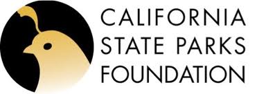 CSP Foundation
