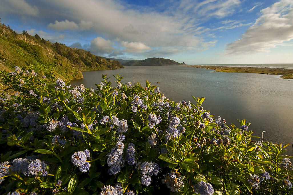 Humboldt Lagoons SP Humboldt Lagoons SP