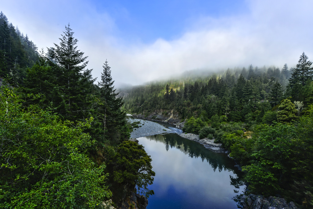 Jedediah Smith Redwoods SP