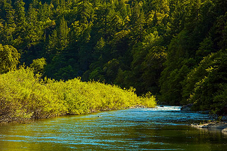 Smithe Redwoods SNR Smithe Redwoods SNR